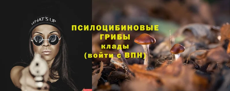 хочу   Армянск  OMG сайт  Галлюциногенные грибы Psilocybine cubensis 